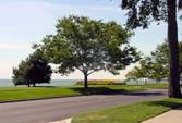 Lake Shore Road -- Grosse Pointe Board of Realtors