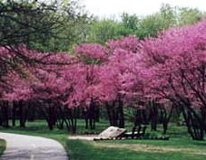 Lower Huron MetroPark -- metroparks