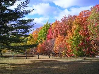 Fall Colors -- newsupnorth